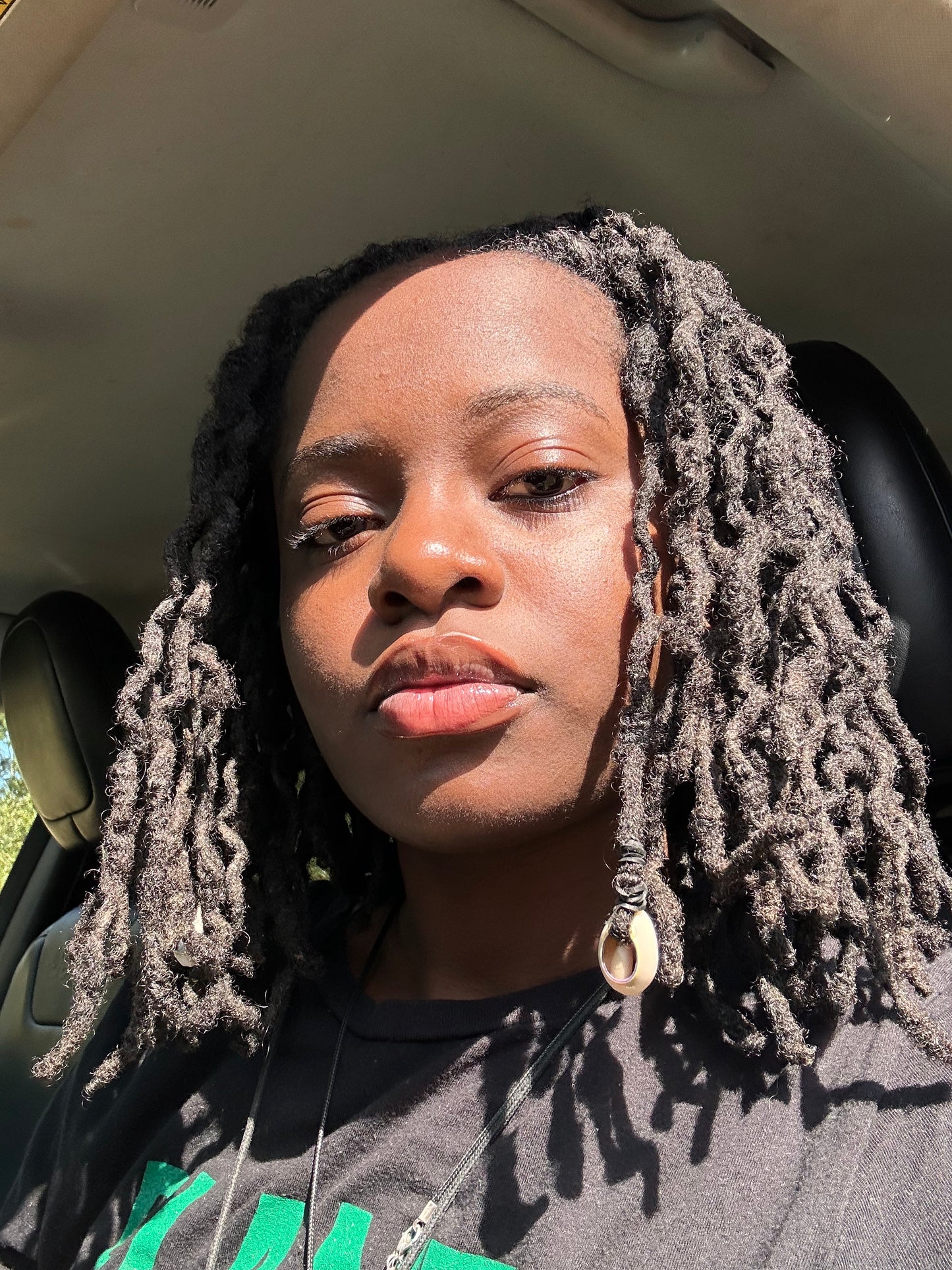 Divine Shields: Harnessing the Psalms for Protection / Journal EBOOK